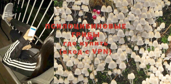 герыч Пестово