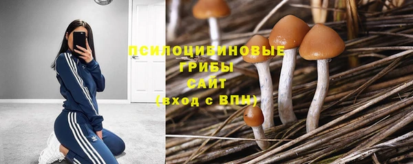 герыч Пестово