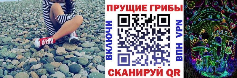 купить наркоту  Руза  Псилоцибиновые грибы мицелий 